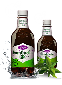 Kombucha Life cu ghimbir 500ml-                                       5