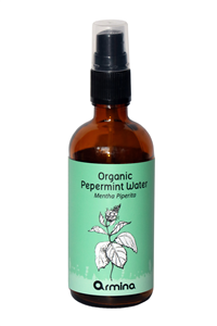 APA DE MENTA (MENTHA PIPERITA) BIO 100ML ARMINA-                                    1730