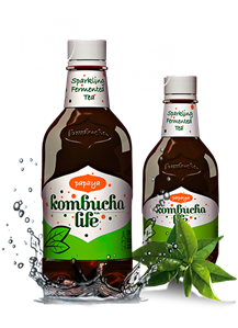 Kombucha Life cu papaya 500ml-                                       6