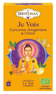 Ceai chakras - vision - turmeric, ghimbir si lamaie bio 16dz x 2g 32g Shotimaa                      -                                  100842