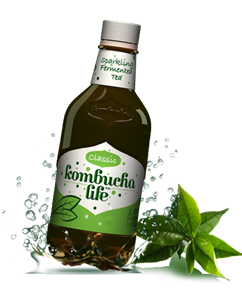 Kombucha Life clasic 500ml-                                     414