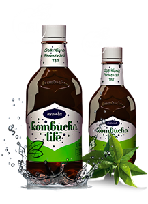 Kombucha Life cu aronia 500ml-                                     416