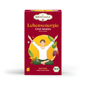 Ceai Shotimaa Balance Your Day - Life Energy - Chai Moka (fara cafea) bio 16dz                      -                                  106197